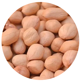 Цены-на-индийский-арахис-ява,-болд-от-23-июня-2023